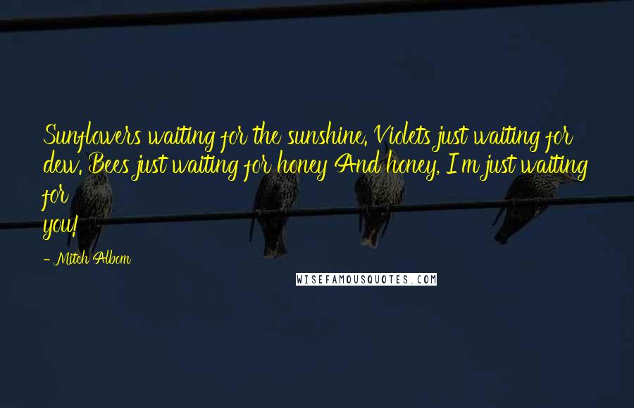 Mitch Albom Quotes: Sunflowers waiting for the sunshine. Violets just waiting for dew. Bees just waiting for honey And honey, I'm just waiting for you!