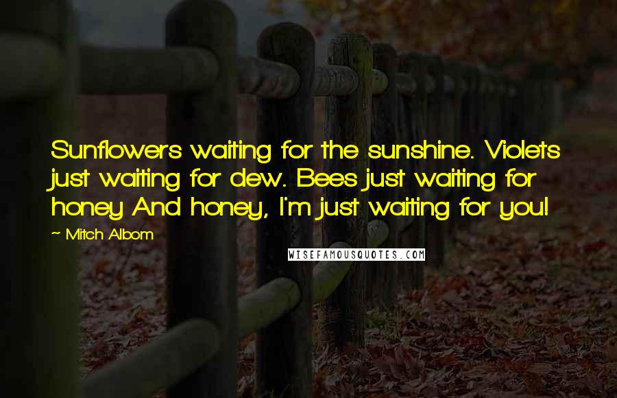 Mitch Albom Quotes: Sunflowers waiting for the sunshine. Violets just waiting for dew. Bees just waiting for honey And honey, I'm just waiting for you!