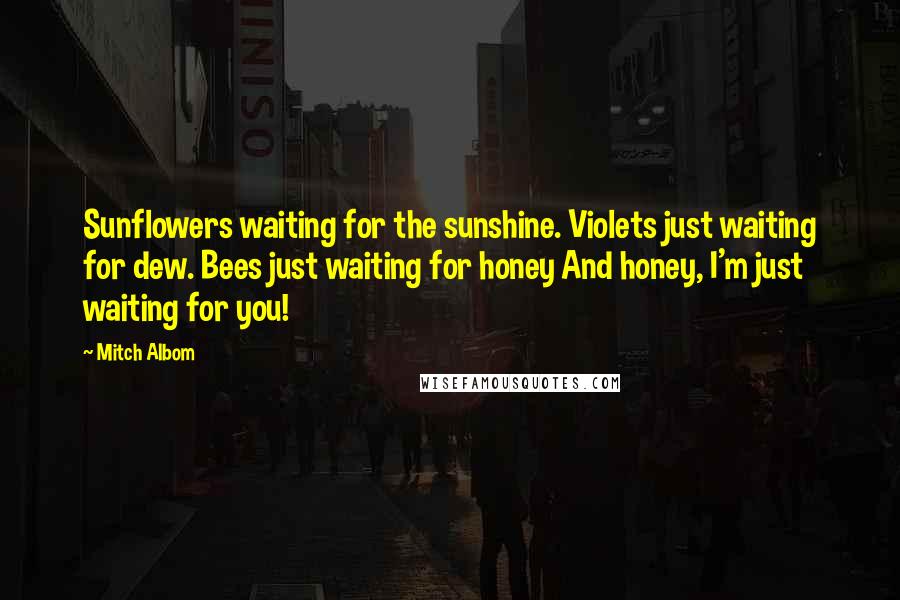 Mitch Albom Quotes: Sunflowers waiting for the sunshine. Violets just waiting for dew. Bees just waiting for honey And honey, I'm just waiting for you!