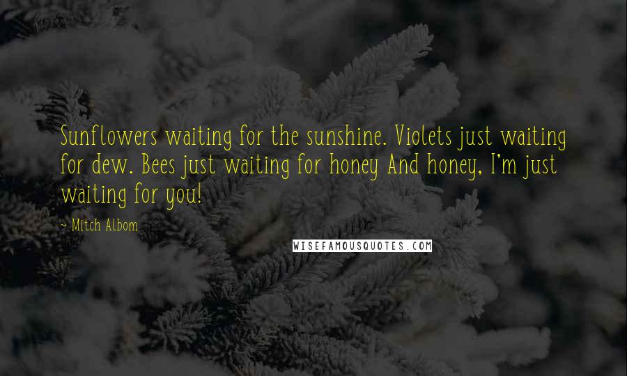 Mitch Albom Quotes: Sunflowers waiting for the sunshine. Violets just waiting for dew. Bees just waiting for honey And honey, I'm just waiting for you!