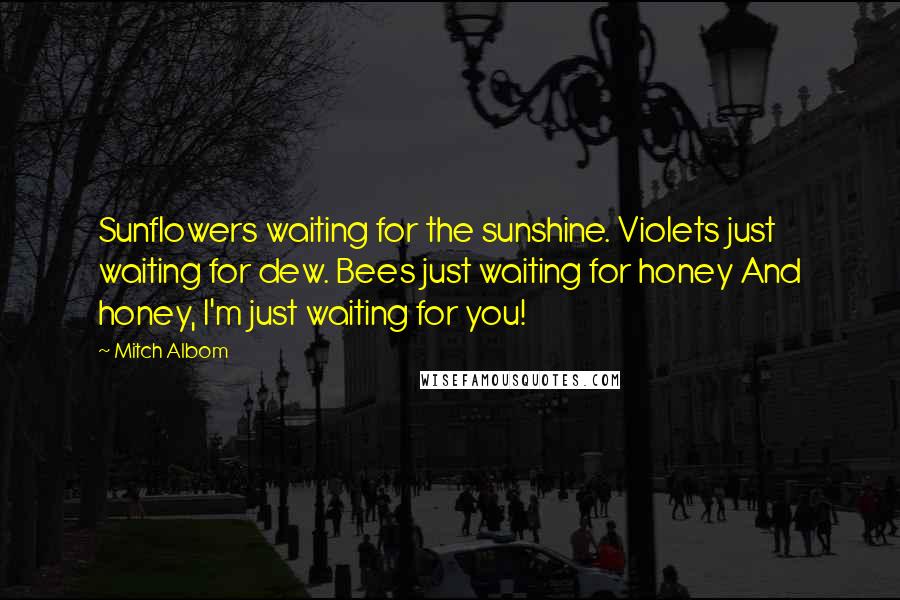 Mitch Albom Quotes: Sunflowers waiting for the sunshine. Violets just waiting for dew. Bees just waiting for honey And honey, I'm just waiting for you!