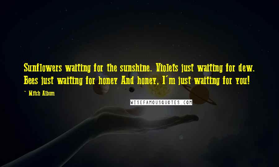 Mitch Albom Quotes: Sunflowers waiting for the sunshine. Violets just waiting for dew. Bees just waiting for honey And honey, I'm just waiting for you!