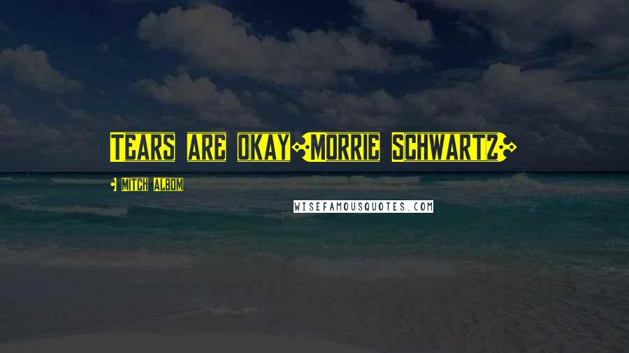 Mitch Albom Quotes: Tears are okay[Morrie Schwartz]