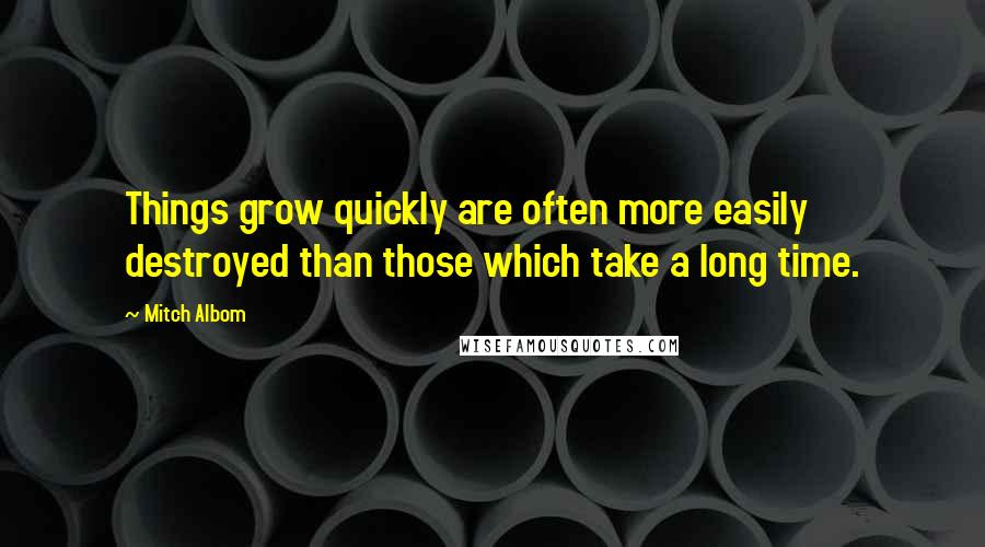 Mitch Albom Quotes: Things grow quickly are often more easily destroyed than those which take a long time.