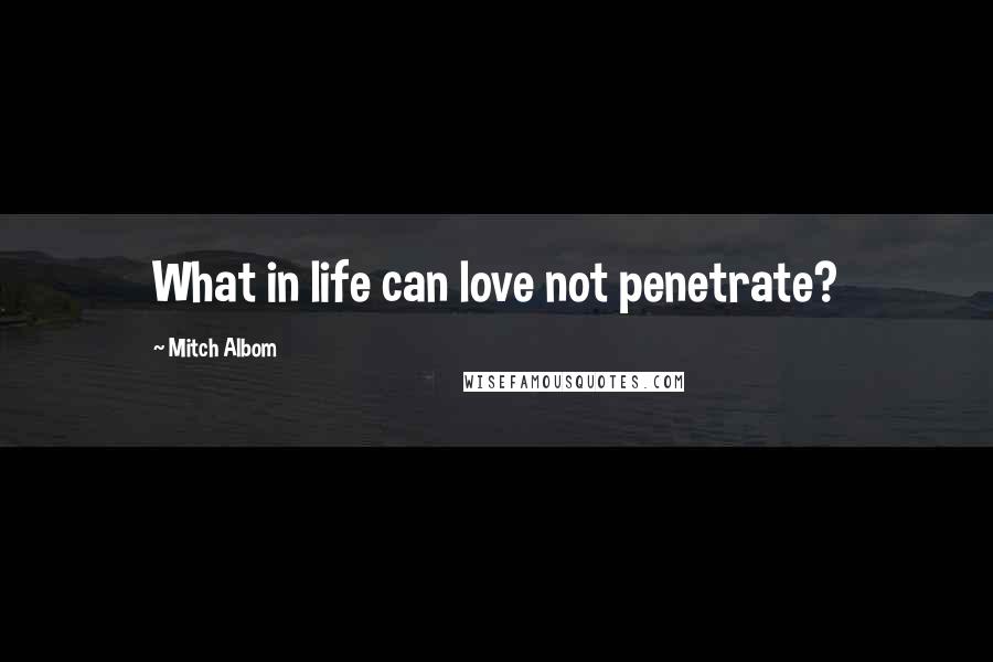 Mitch Albom Quotes: What in life can love not penetrate?