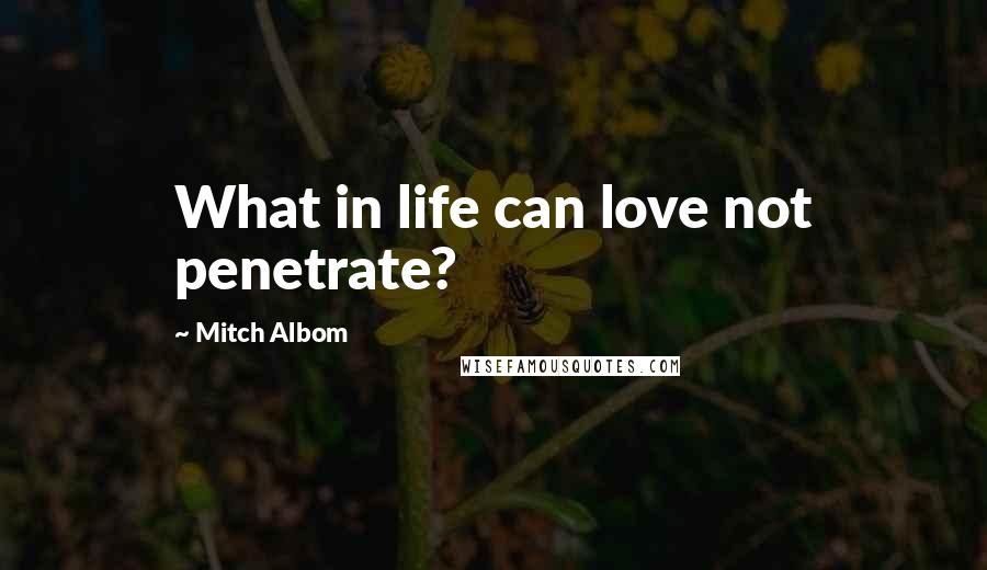 Mitch Albom Quotes: What in life can love not penetrate?