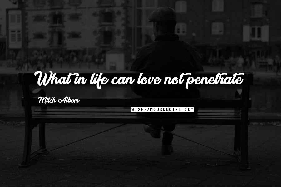 Mitch Albom Quotes: What in life can love not penetrate?