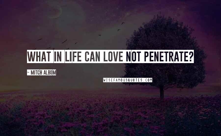 Mitch Albom Quotes: What in life can love not penetrate?