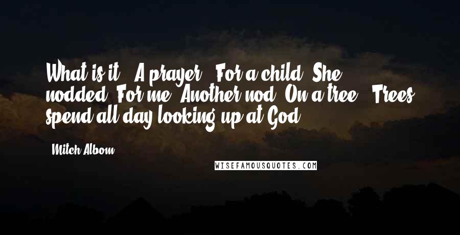 Mitch Albom Quotes: What is it?""A prayer.""For a child?"She nodded."For me?"Another nod."On a tree?""Trees spend all day looking up at God.