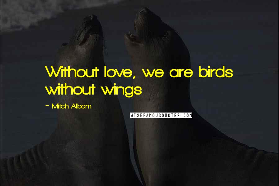 Mitch Albom Quotes: Without love, we are birds without wings
