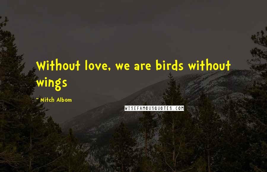 Mitch Albom Quotes: Without love, we are birds without wings