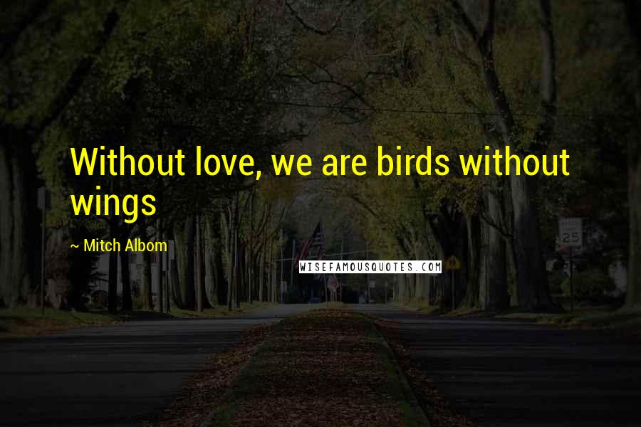 Mitch Albom Quotes: Without love, we are birds without wings
