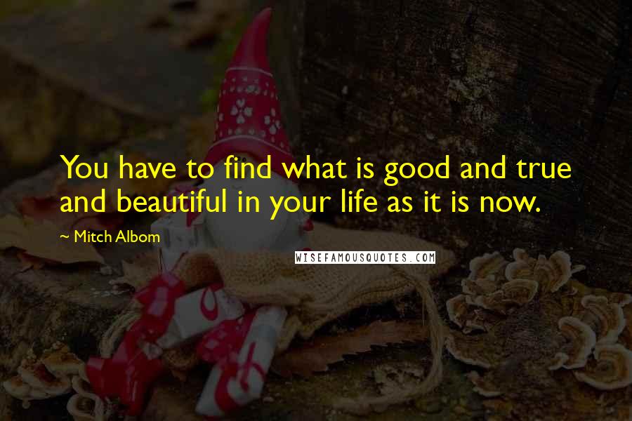 Mitch Albom Quotes: You have to find what is good and true and beautiful in your life as it is now.