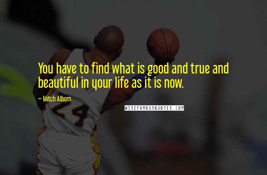 Mitch Albom Quotes: You have to find what is good and true and beautiful in your life as it is now.