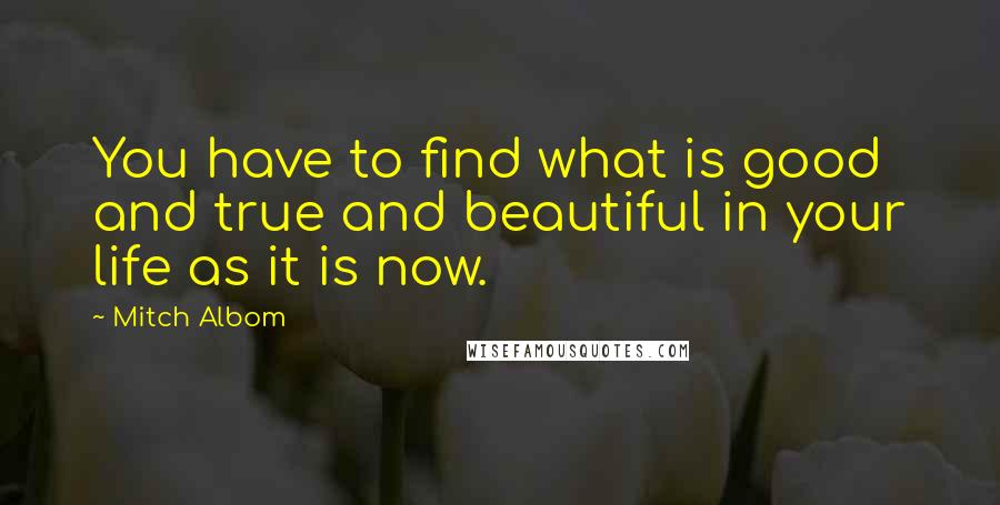 Mitch Albom Quotes: You have to find what is good and true and beautiful in your life as it is now.