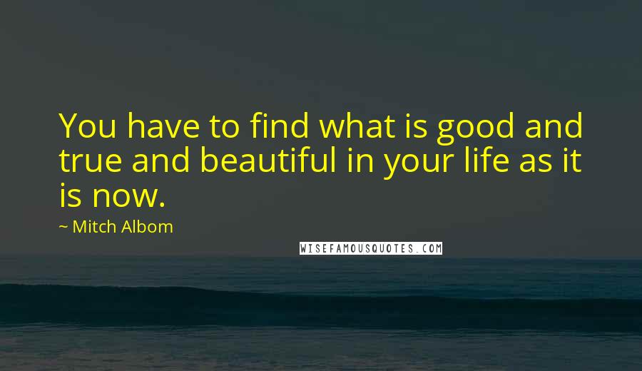 Mitch Albom Quotes: You have to find what is good and true and beautiful in your life as it is now.