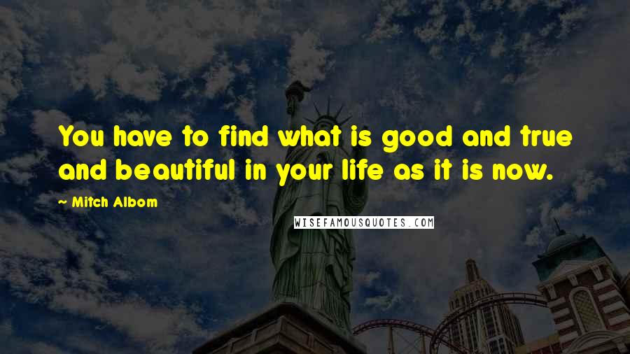 Mitch Albom Quotes: You have to find what is good and true and beautiful in your life as it is now.