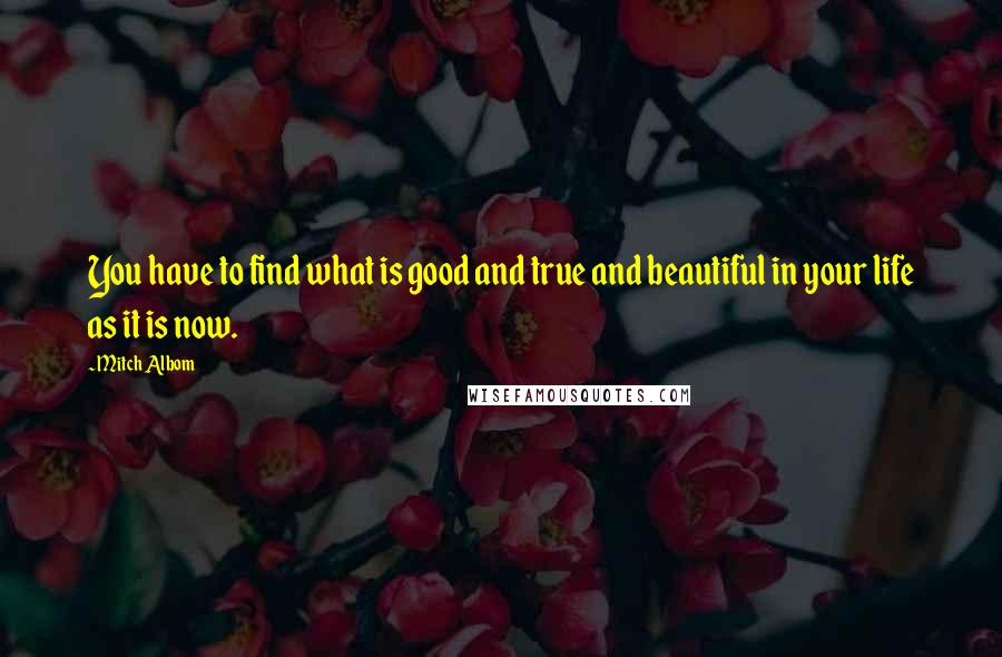 Mitch Albom Quotes: You have to find what is good and true and beautiful in your life as it is now.