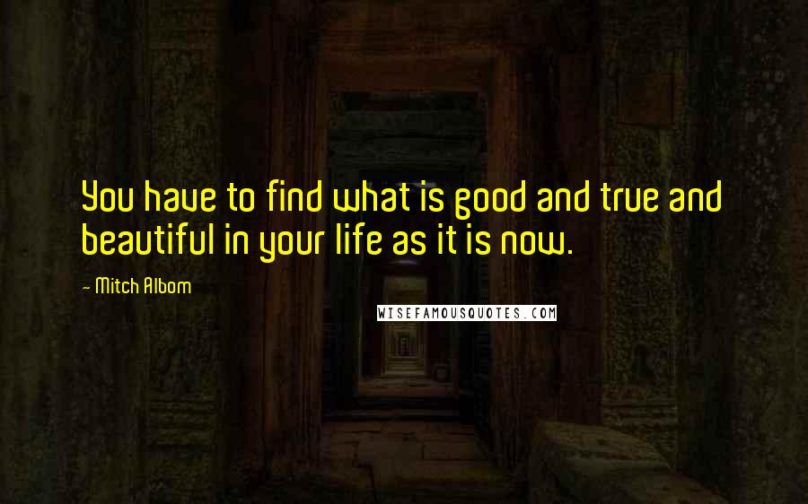 Mitch Albom Quotes: You have to find what is good and true and beautiful in your life as it is now.