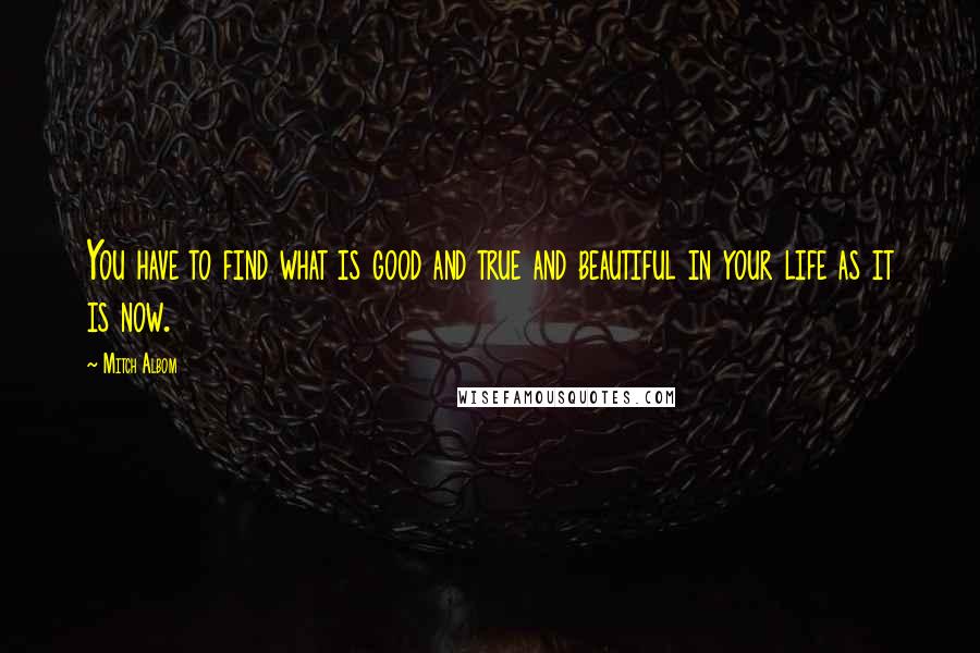 Mitch Albom Quotes: You have to find what is good and true and beautiful in your life as it is now.