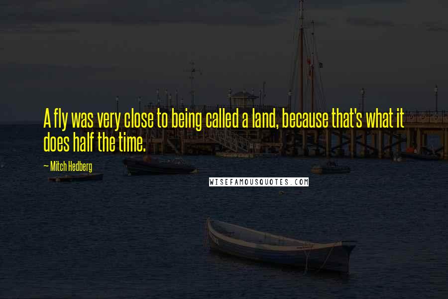 Mitch Hedberg Quotes: A fly was very close to being called a land, because that's what it does half the time.