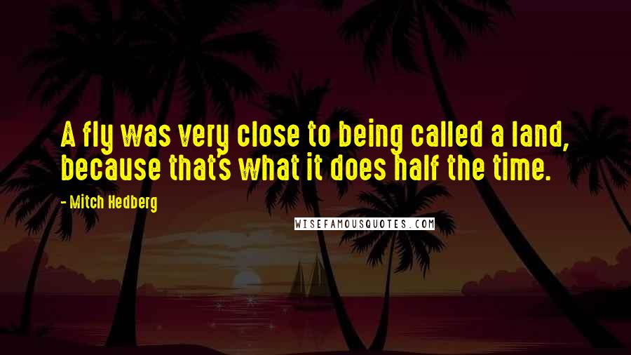 Mitch Hedberg Quotes: A fly was very close to being called a land, because that's what it does half the time.