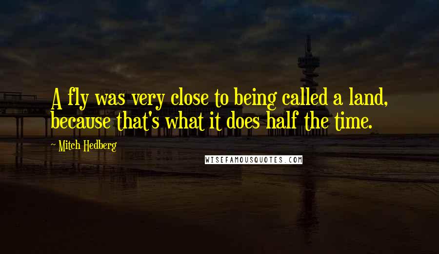 Mitch Hedberg Quotes: A fly was very close to being called a land, because that's what it does half the time.