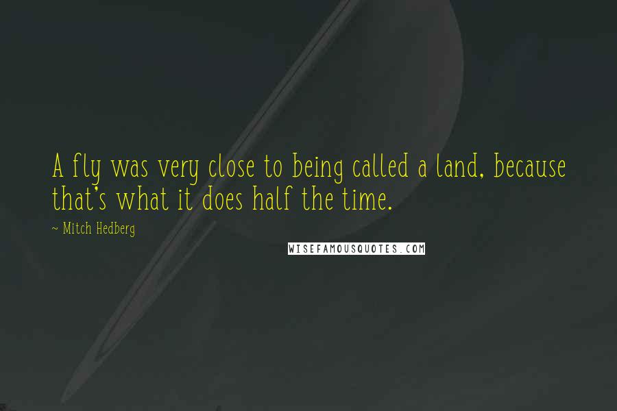 Mitch Hedberg Quotes: A fly was very close to being called a land, because that's what it does half the time.