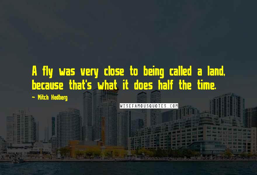 Mitch Hedberg Quotes: A fly was very close to being called a land, because that's what it does half the time.