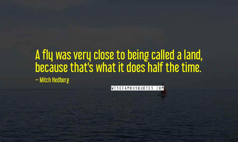 Mitch Hedberg Quotes: A fly was very close to being called a land, because that's what it does half the time.