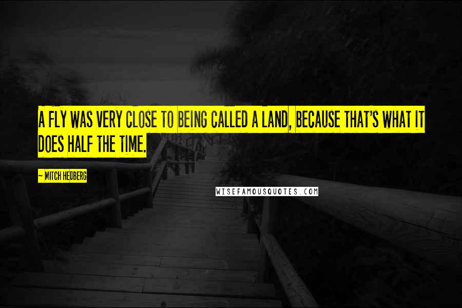 Mitch Hedberg Quotes: A fly was very close to being called a land, because that's what it does half the time.