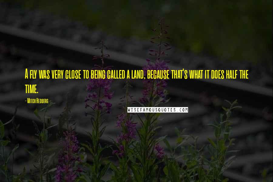 Mitch Hedberg Quotes: A fly was very close to being called a land, because that's what it does half the time.