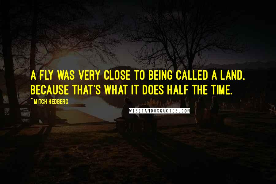 Mitch Hedberg Quotes: A fly was very close to being called a land, because that's what it does half the time.