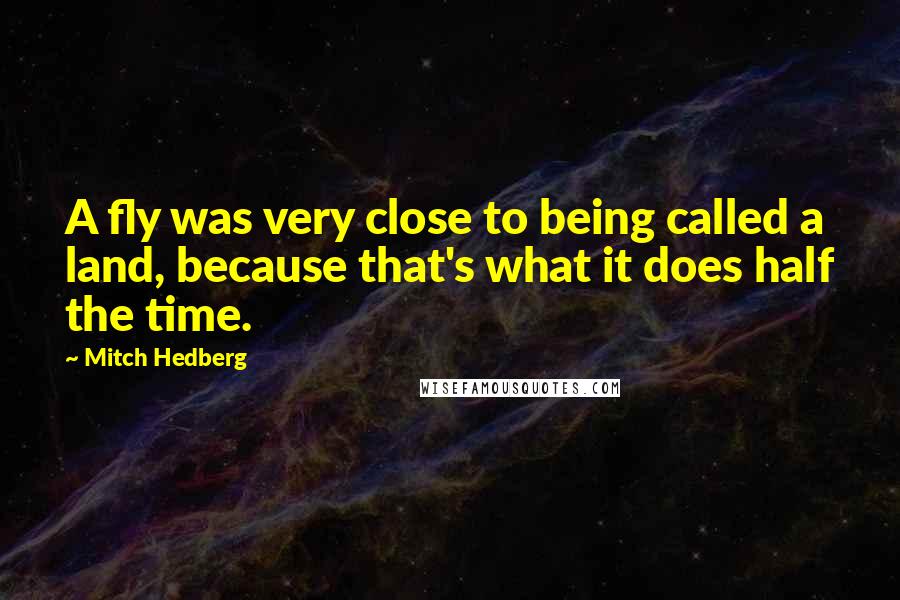 Mitch Hedberg Quotes: A fly was very close to being called a land, because that's what it does half the time.