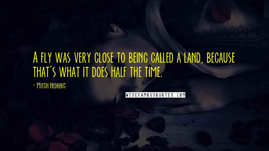 Mitch Hedberg Quotes: A fly was very close to being called a land, because that's what it does half the time.