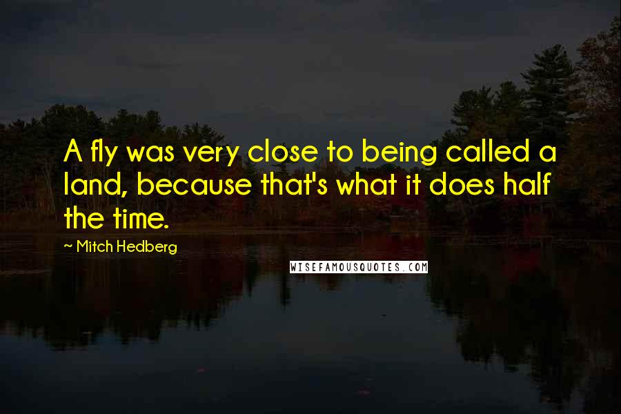 Mitch Hedberg Quotes: A fly was very close to being called a land, because that's what it does half the time.