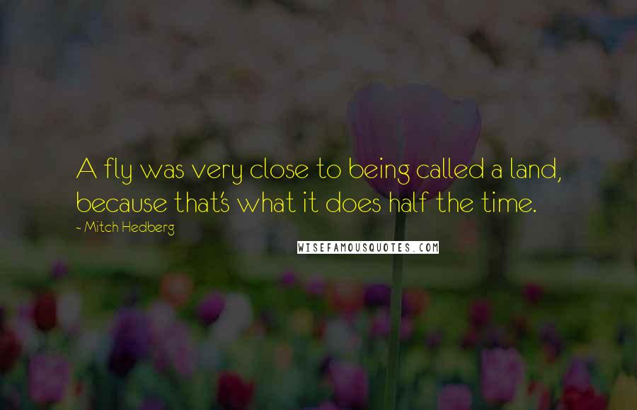 Mitch Hedberg Quotes: A fly was very close to being called a land, because that's what it does half the time.