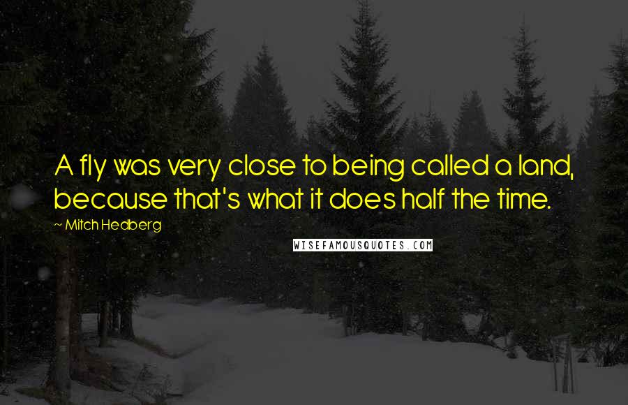 Mitch Hedberg Quotes: A fly was very close to being called a land, because that's what it does half the time.