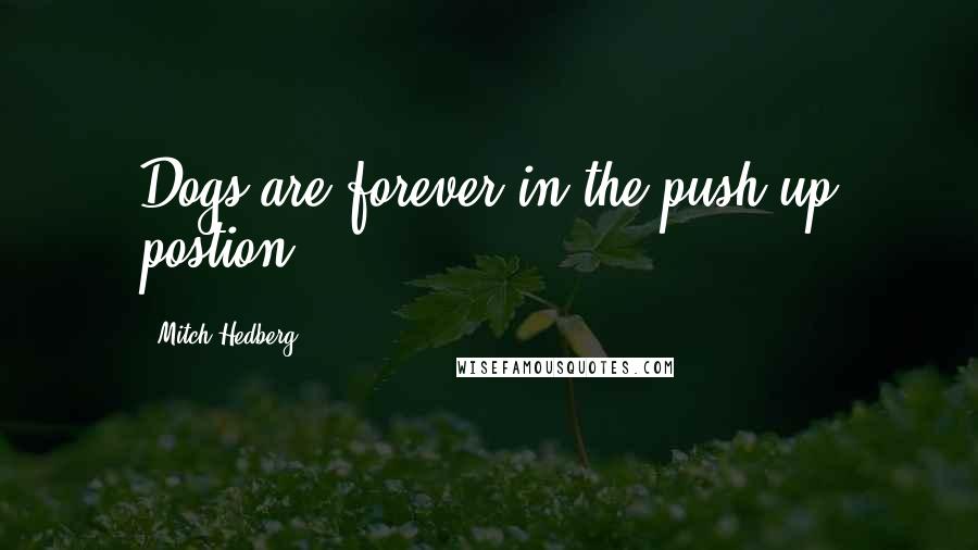 Mitch Hedberg Quotes: Dogs are forever in the push up postion.