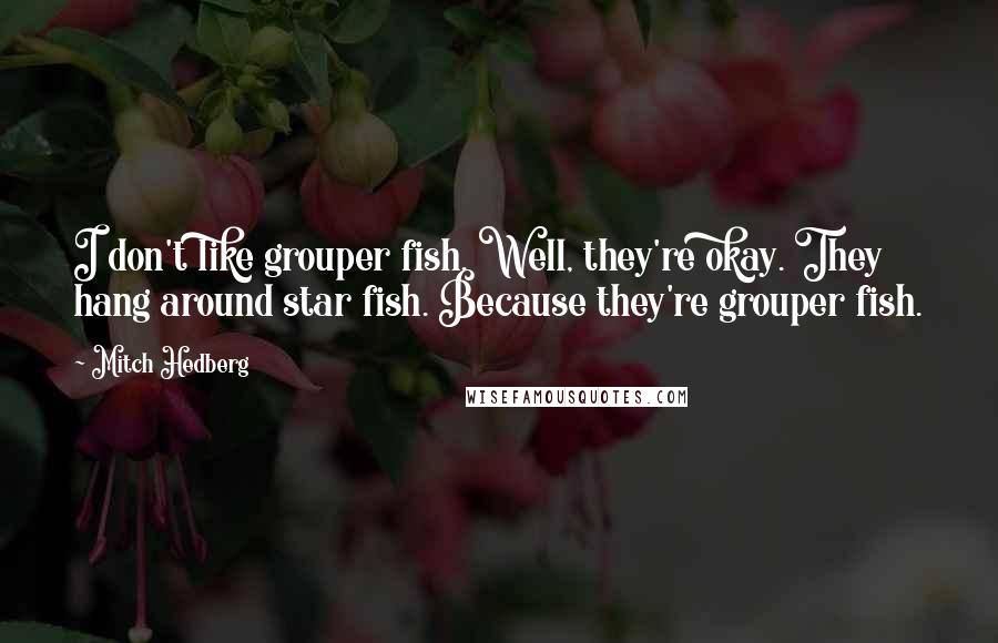 Mitch Hedberg Quotes: I don't like grouper fish. Well, they're okay. They hang around star fish. Because they're grouper fish.