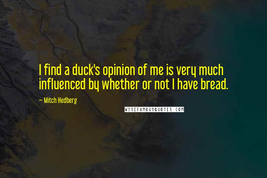 Mitch Hedberg Quotes: I find a duck's opinion of me is very much influenced by whether or not I have bread.