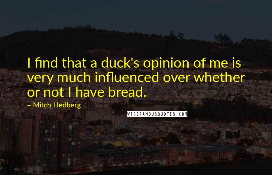 Mitch Hedberg Quotes: I find that a duck's opinion of me is very much influenced over whether or not I have bread.