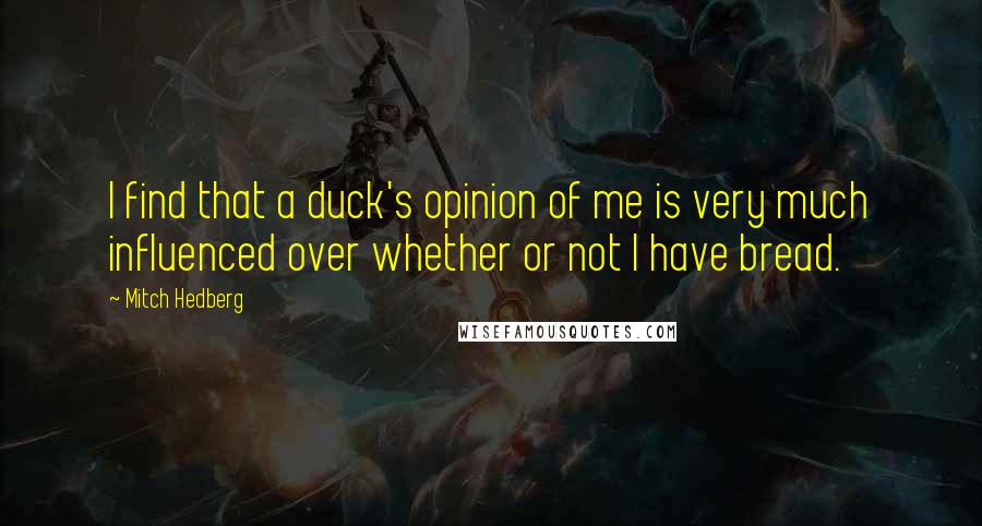 Mitch Hedberg Quotes: I find that a duck's opinion of me is very much influenced over whether or not I have bread.