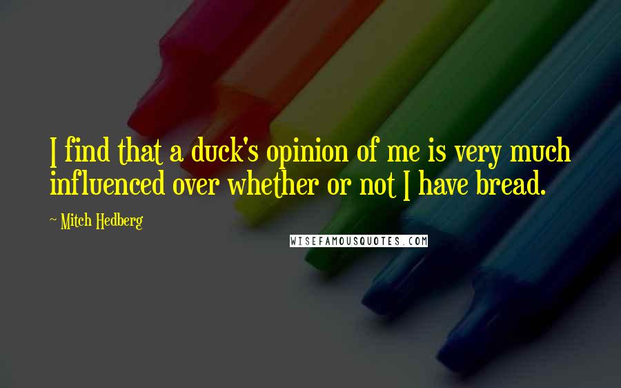 Mitch Hedberg Quotes: I find that a duck's opinion of me is very much influenced over whether or not I have bread.