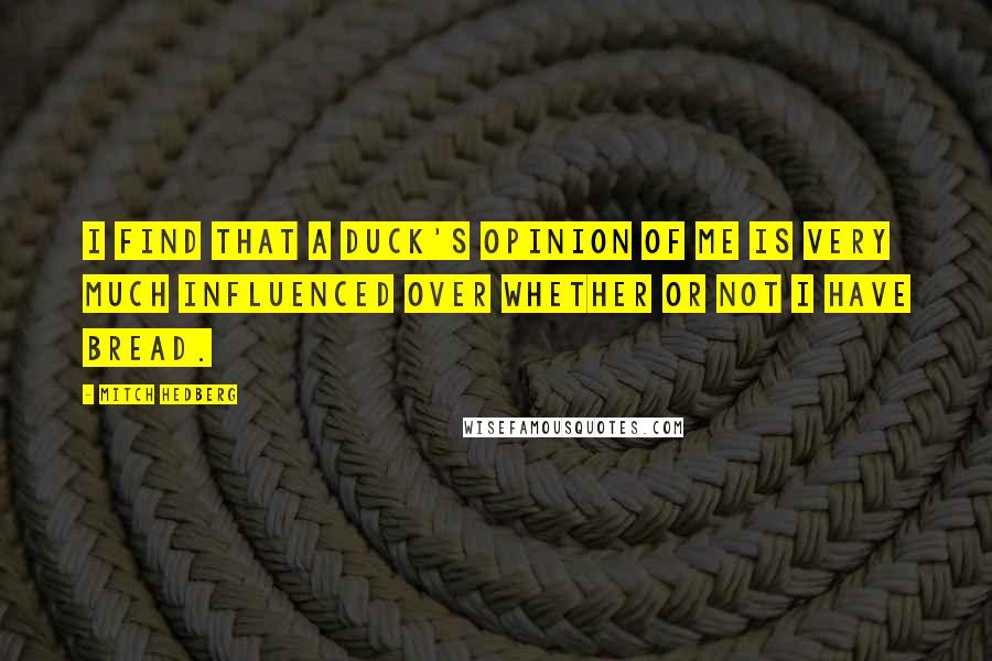 Mitch Hedberg Quotes: I find that a duck's opinion of me is very much influenced over whether or not I have bread.