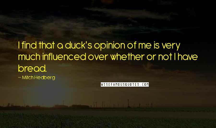 Mitch Hedberg Quotes: I find that a duck's opinion of me is very much influenced over whether or not I have bread.