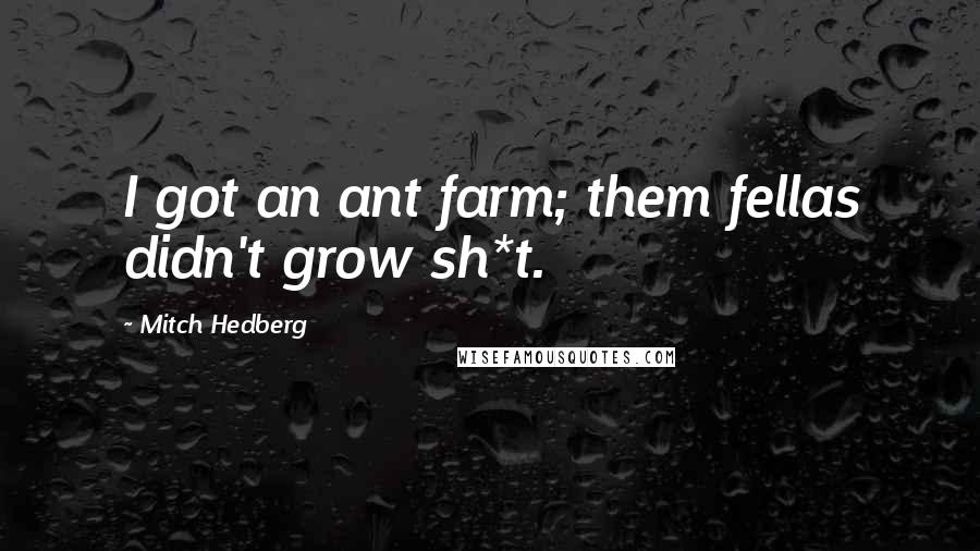 Mitch Hedberg Quotes: I got an ant farm; them fellas didn't grow sh*t.