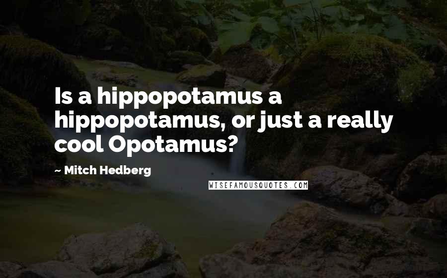 Mitch Hedberg Quotes: Is a hippopotamus a hippopotamus, or just a really cool Opotamus?