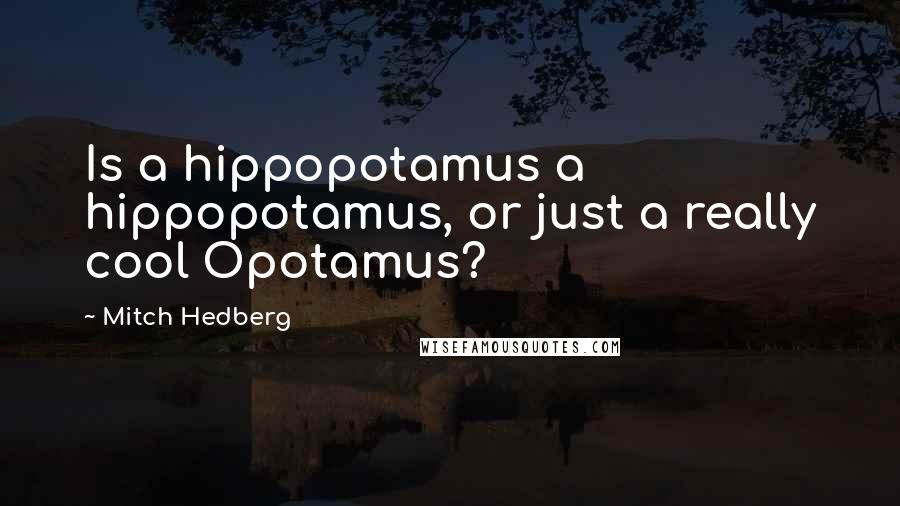 Mitch Hedberg Quotes: Is a hippopotamus a hippopotamus, or just a really cool Opotamus?