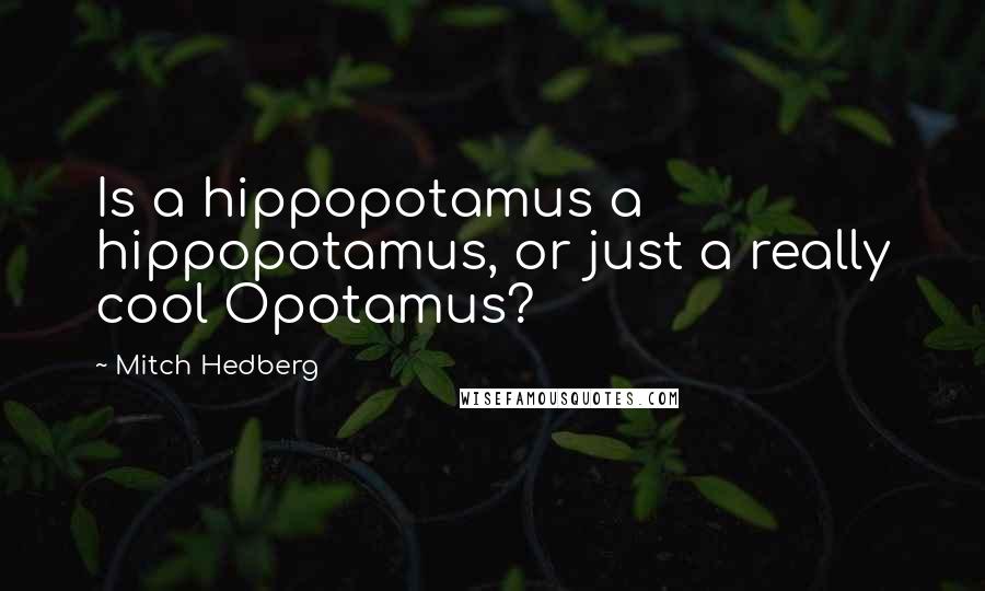 Mitch Hedberg Quotes: Is a hippopotamus a hippopotamus, or just a really cool Opotamus?